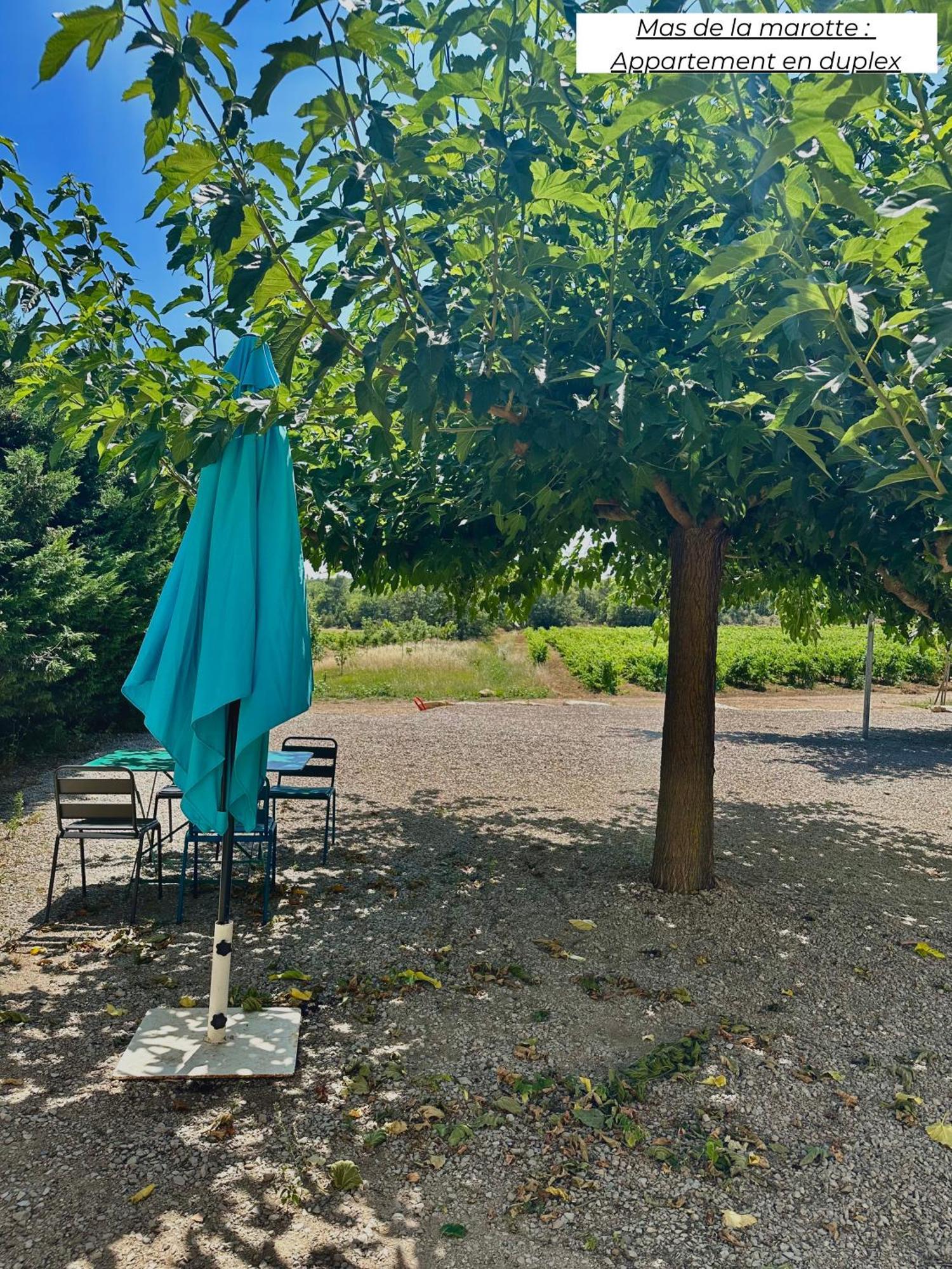 شقة Domaine Les Terres De Saint-Hilaire Ollières المظهر الخارجي الصورة